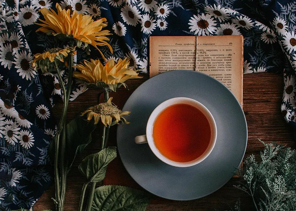 太快的人生，注定是一场灾难