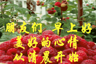 十一|今天正月十一祝福 一心一意的祝福送给群里的朋友谁打开谁幸福