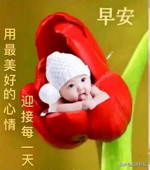 清晨早上好的问候语和唯美图片大全图片