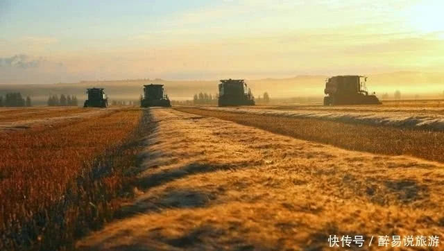 北大荒”为何要退耕还“荒”？真相是这样的，