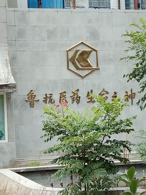 鲁抗医药老厂区的喷水池，已经杂草丛生，可金字招牌依然闪亮如新
