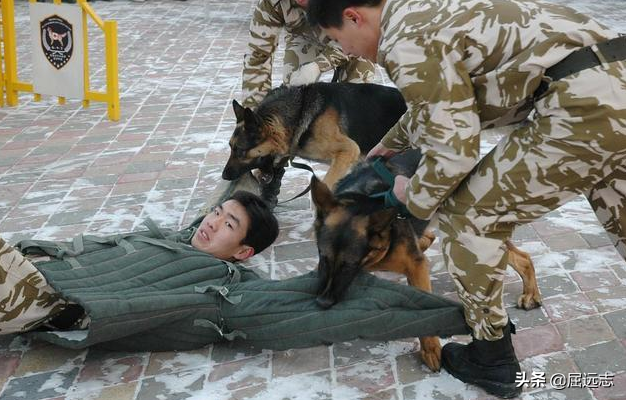 故事：他因“调戏”别人老婆被算账，一怒之下