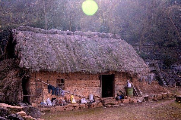 燕子不進“苦寒門”，它們是如何分辨“窮人”和“富人”的？