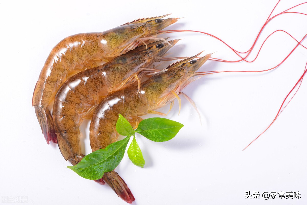 虾的种类有哪些？25种常见虾，河虾海虾哪种最好吃？你吃过哪几种？_对虾