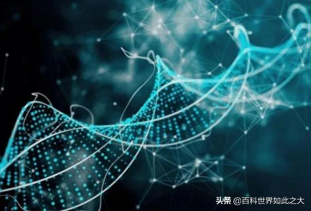 只是为了“长生”?美富豪每3个月换1次血,人类最长寿命曝光