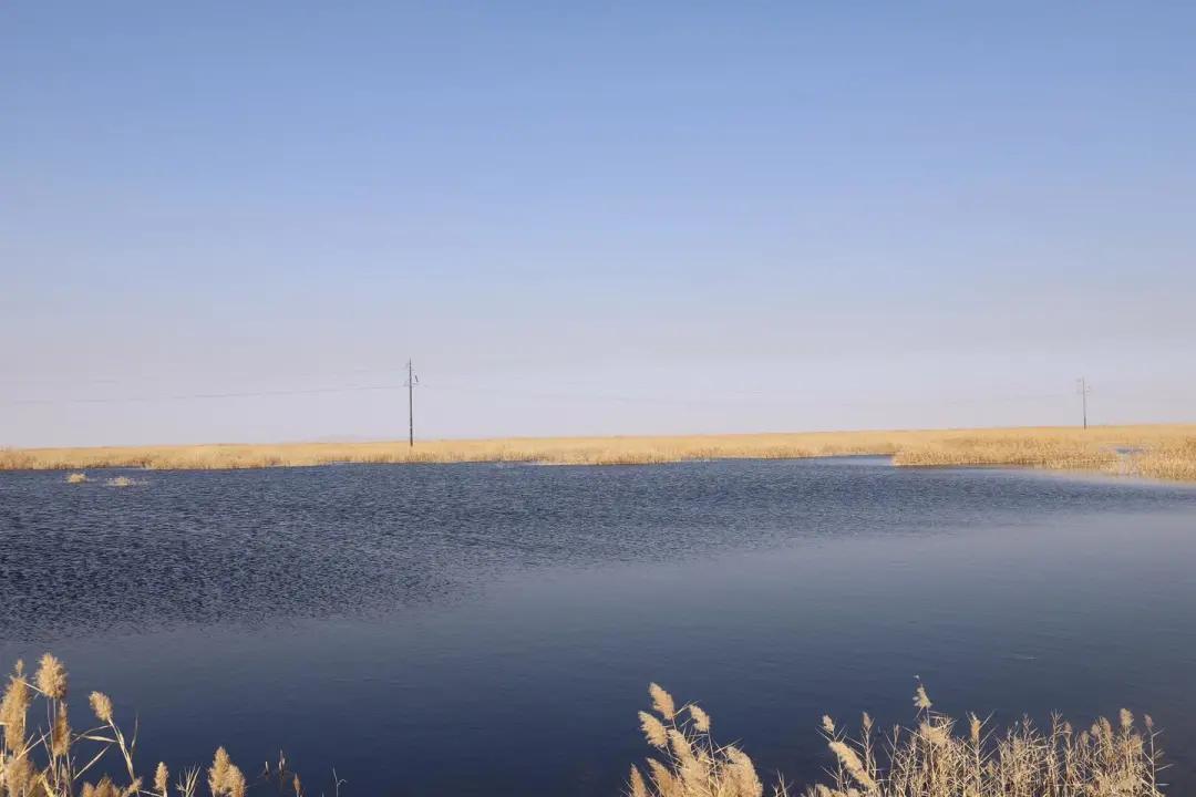 青土湖 wtgl.gswuwei.gov.cn