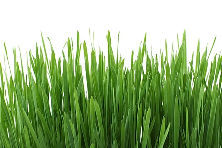 ���ѵ����ķ�ʽ