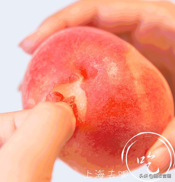 100个好用的生活小妙招-第14张图片-农百科