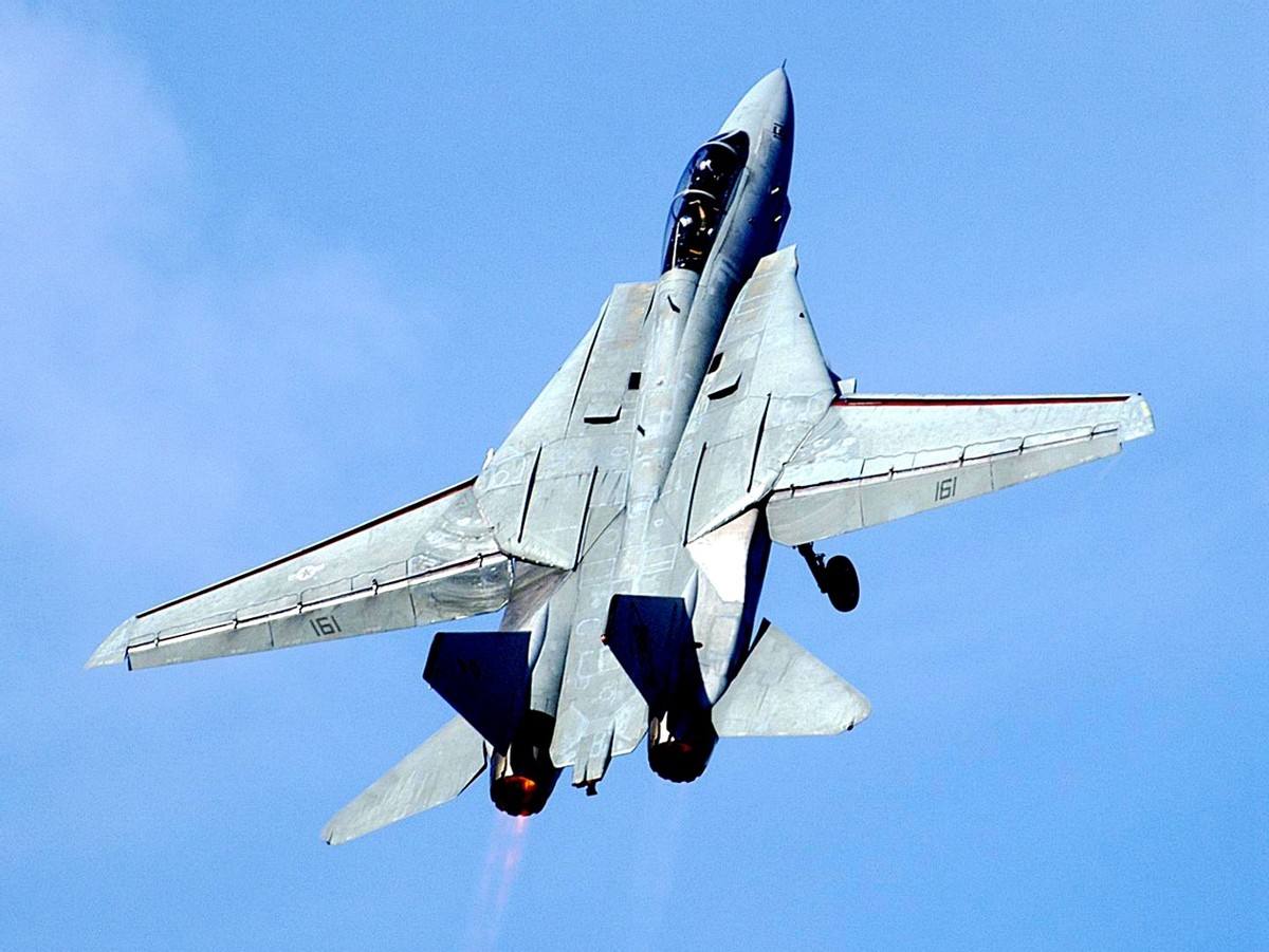 ���ʻ򽫹����10ս������ý��ʾ�д˿��ܣ�����������������