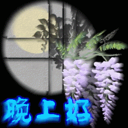 早上好图片大全 最新图片图片