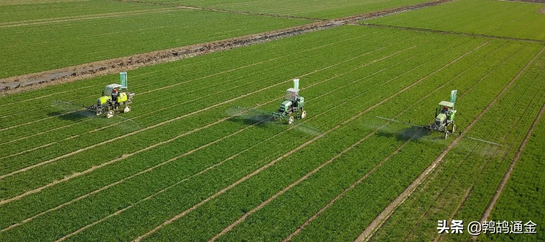 80后不想种地，90后不懂种地，00后不问种地..谁来