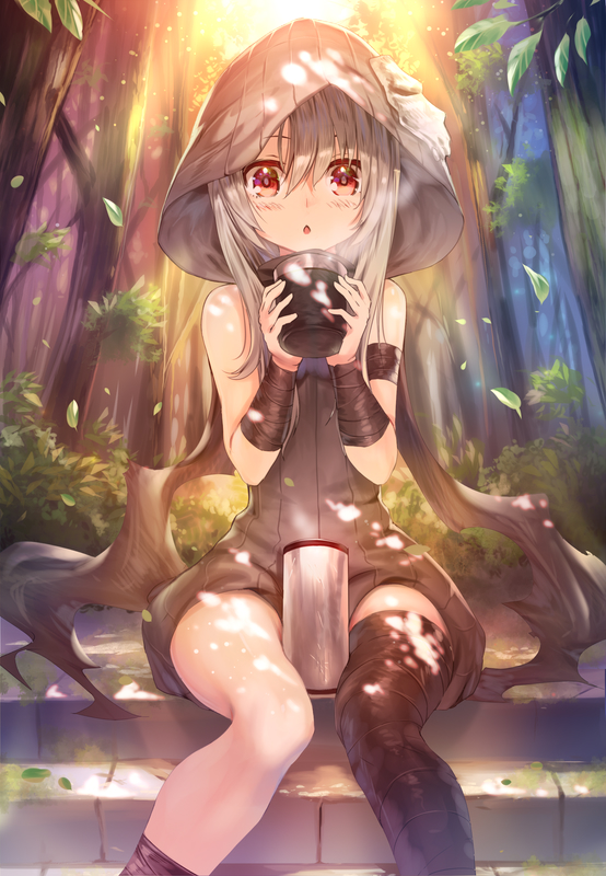 看了半天才發現，原來魔法少女伊莉雅，是fate的第一部后宮番
