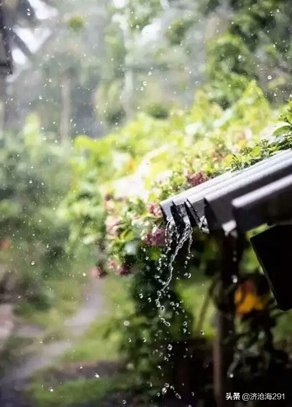 两首小众绝句描写雨景，风格迥异，却各领风骚-第2张图片-非凡网