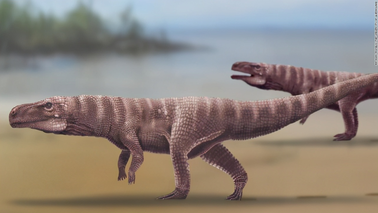 进化论解释不了？为什么2亿年来鳄鱼几乎没有发生变化？