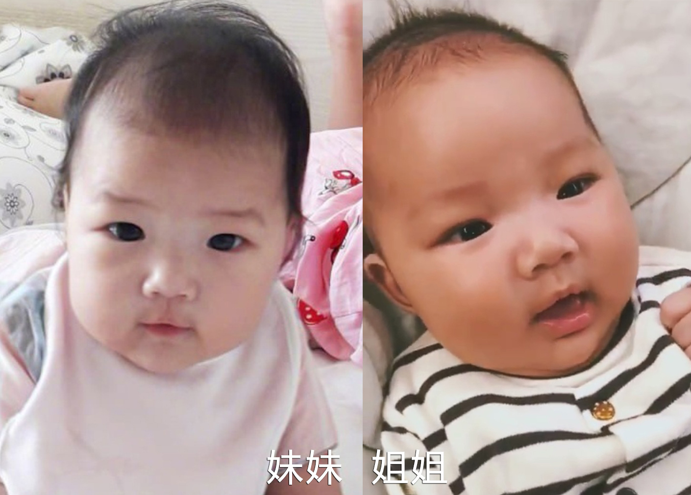 王祖藍曬倆女兒同框照問像誰，妹妹和姐姐一模一樣，雙胞胎既視感