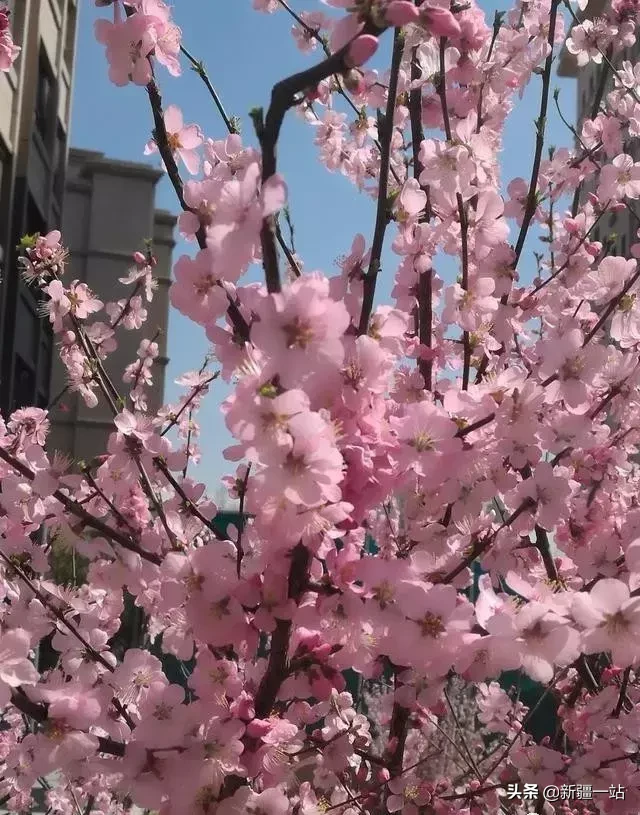 乌鲁木齐市值得一去的旅游景点大汇总