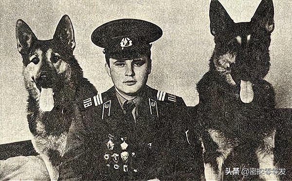 蘇聯的克格勃非常厲害，為何卻臭名昭著，然而普京卻以此為榮？