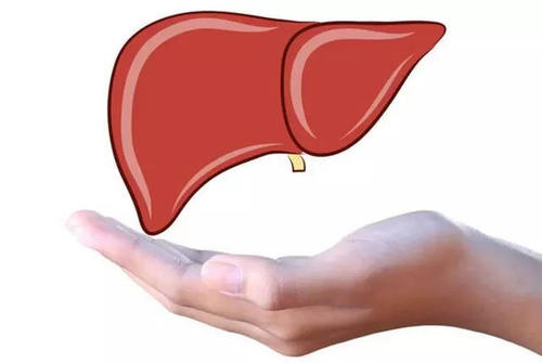 肝硬化腹水到底能不能治愈？听听专家怎么说