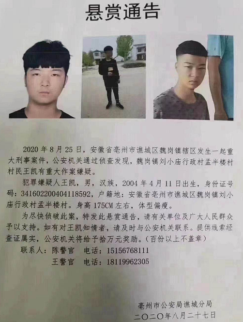 安徽亳州16岁少年涉重大刑事案件|安徽杀婶婶16岁少年落网 安徽亳州16岁少年涉重大刑事案件详情曝光！