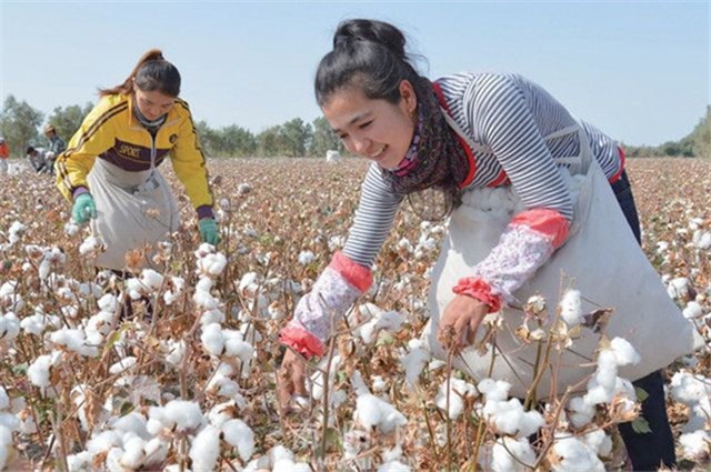 美国亚马逊要下架全部中国棉制品？为何中国电商们如此淡定