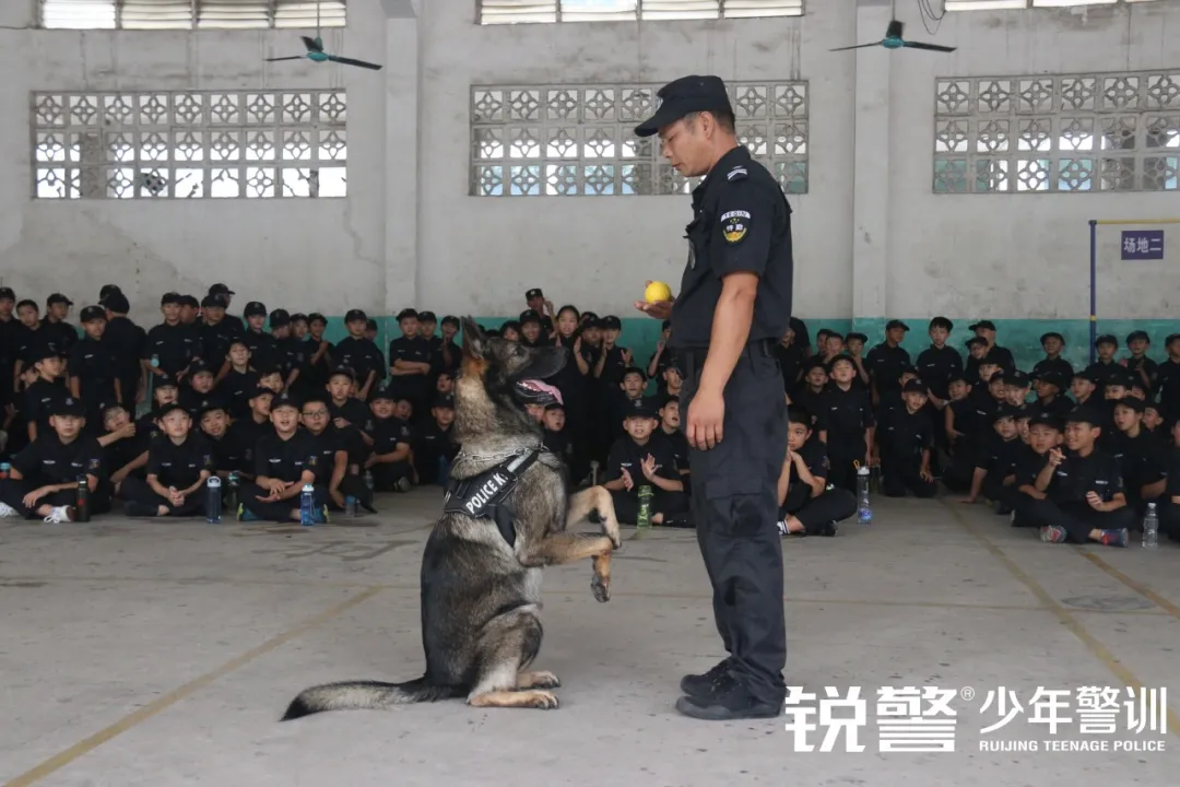 锐警少年警训夏令营：“二郎神”闪亮登场，快来关注它