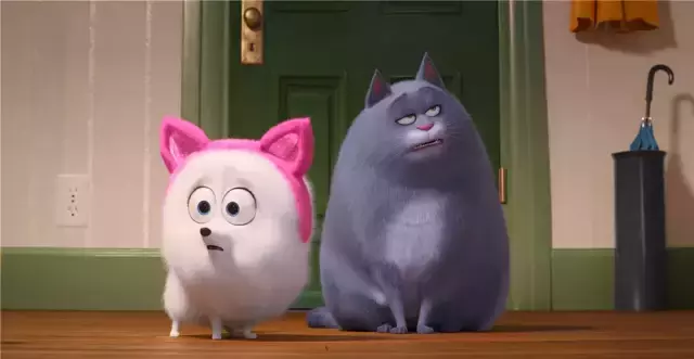 猫奴狗奴的狂欢,《爱宠大机密2》猫狗满天飞