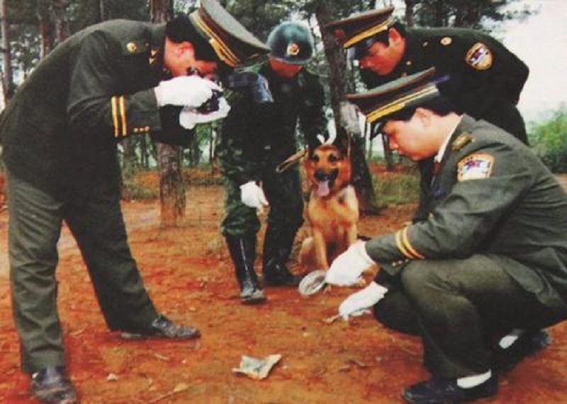 案件回顾：长春一美男子，4年杀害17名美女，妻子帮其分尸后良心发现想自杀