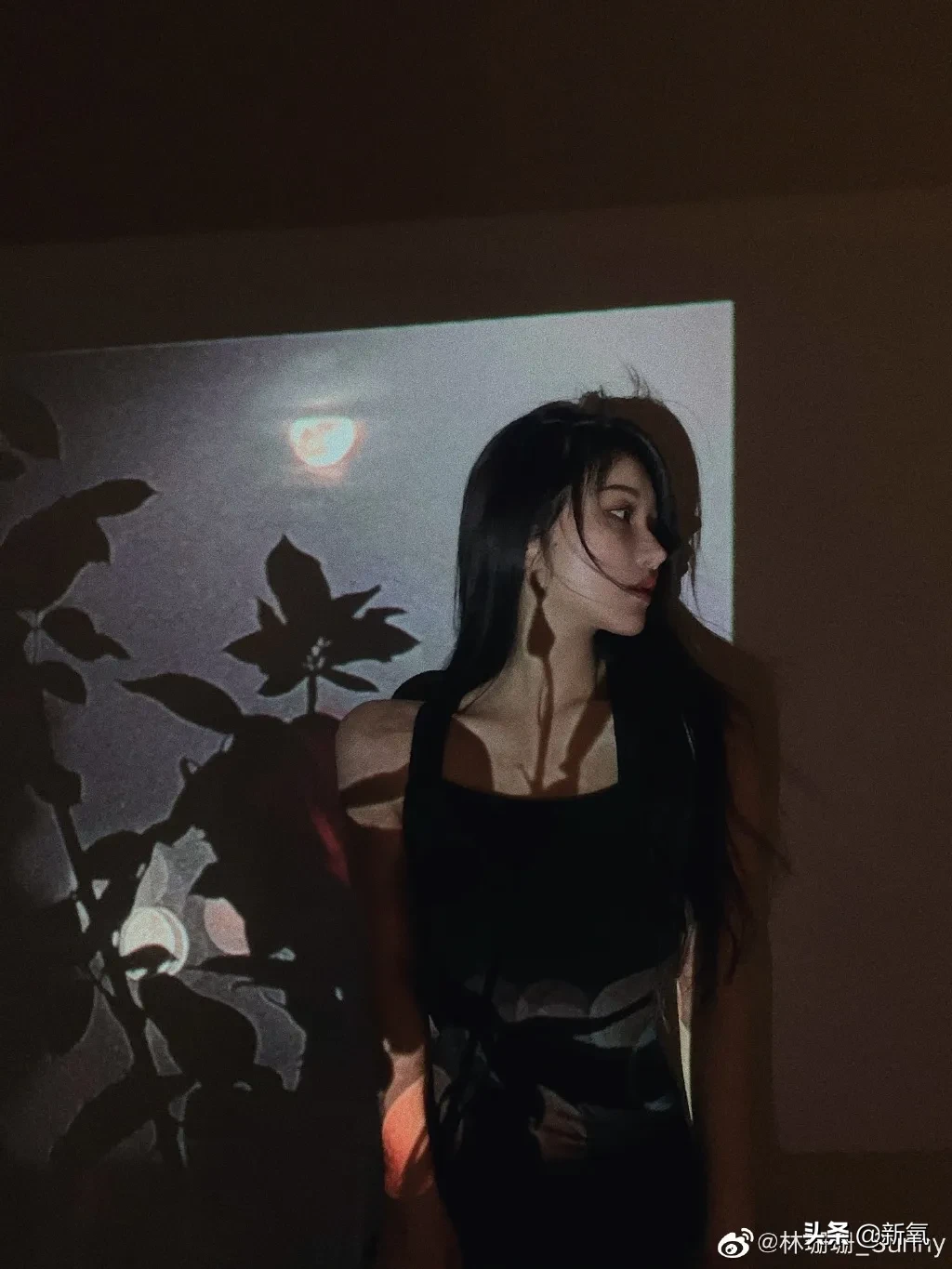 顶流女网红为送男友出道开娱乐公司,这就是富婆的快乐?