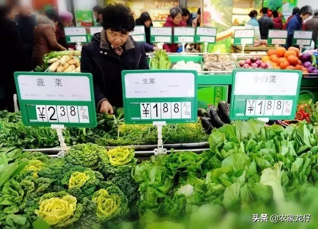 猪肉降下来了,大葱、白菜又涨价了?白菜再不是“白菜价”