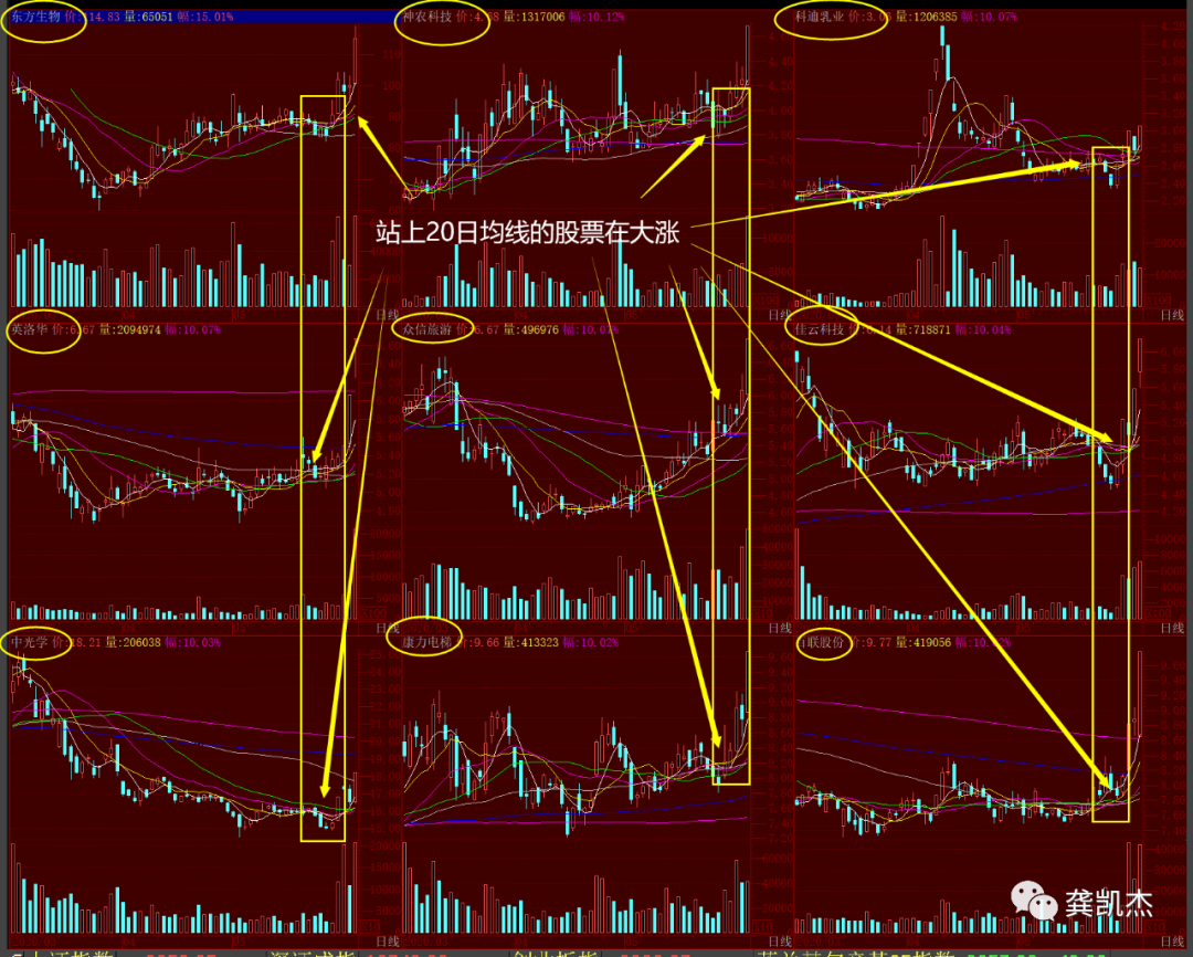下周操作策略，附个股
