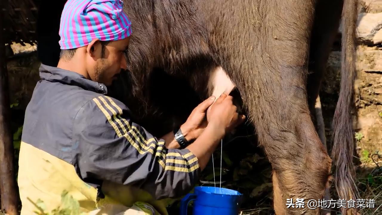 尼泊尔山区年轻妈妈用煎鸡蛋招待我，她曾经在中餐厅打过工