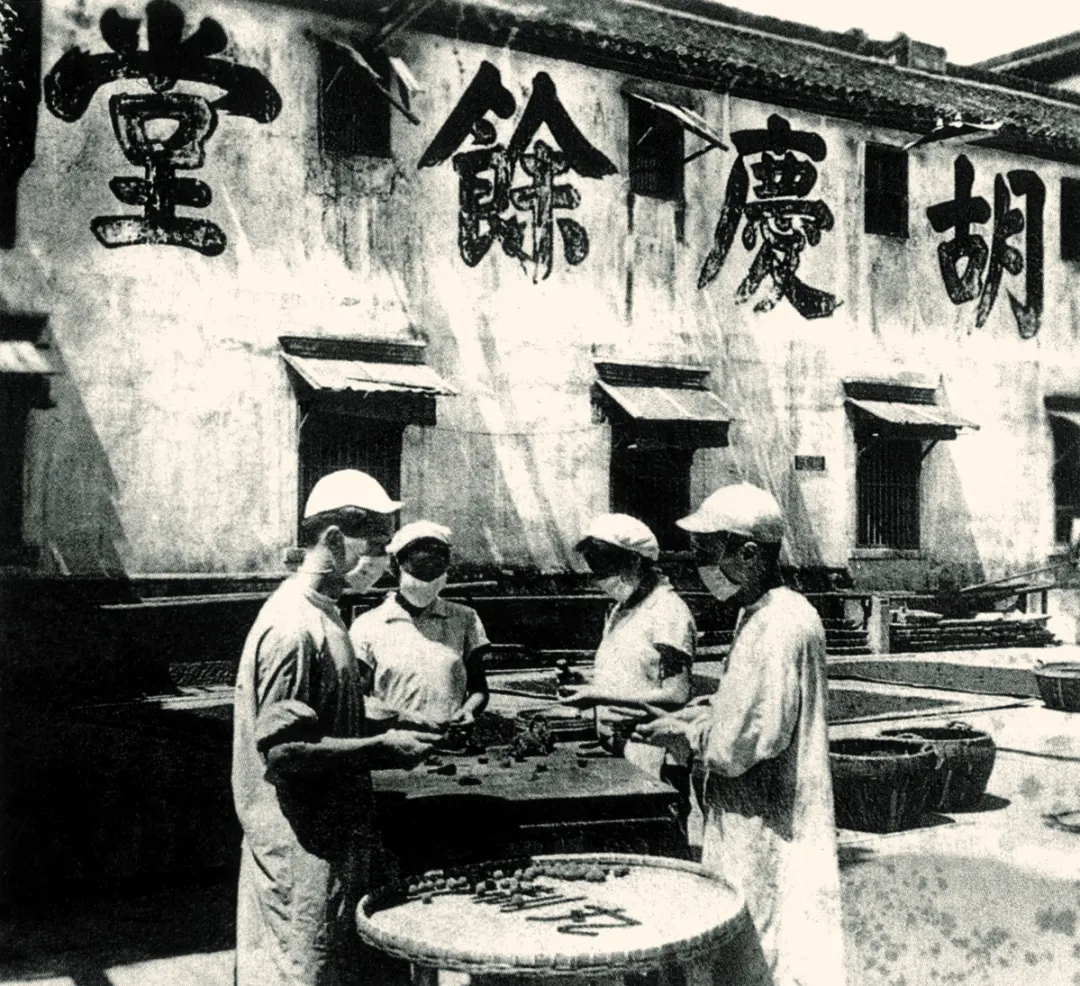 充分挖掘中国传统医药非遗的价值 | 以浙江地区中医药非遗发展现状为例