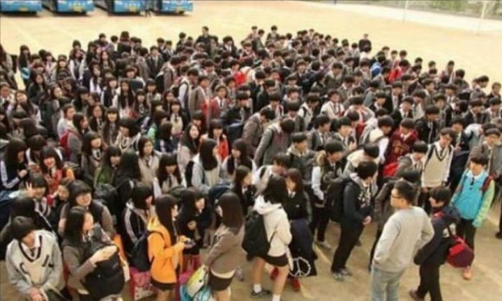 �����ٷ�Ϊ����ֹ��Ԯ���Ϻ����̾��̳����ࣿ������Խ�ŲҰ�����