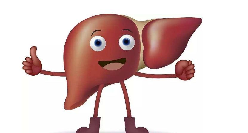 身體有這6點變化，要引起警惕，可能是肝臟亮起了警報