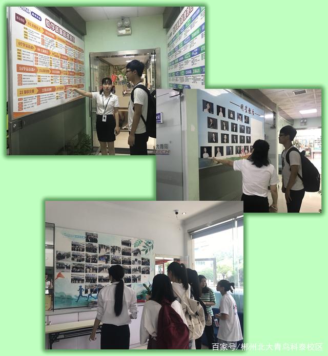郴州科泰：IT培训充电，让大学生就业不再成为难题