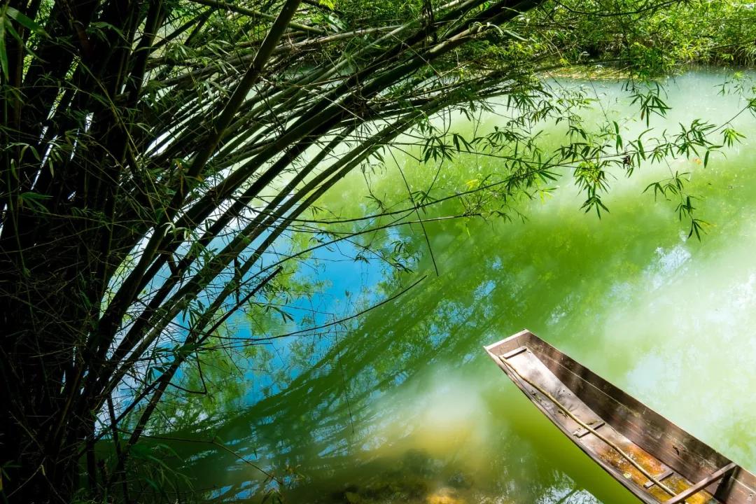 夏天的诗，清新又美好-第5张图片-非凡网