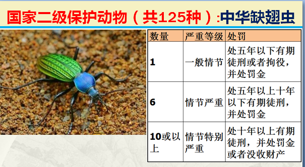 国家最新125类二级野生保护名录，图片及违法对应刑责