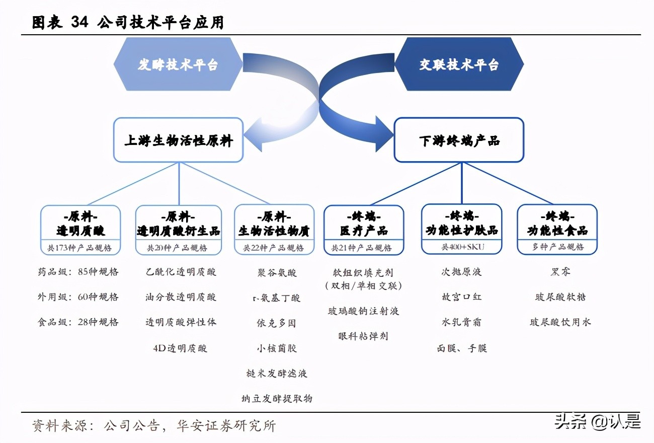 华熙生物深度解析：“技术嫁接”浇灌“HA乔木”茁壮成长