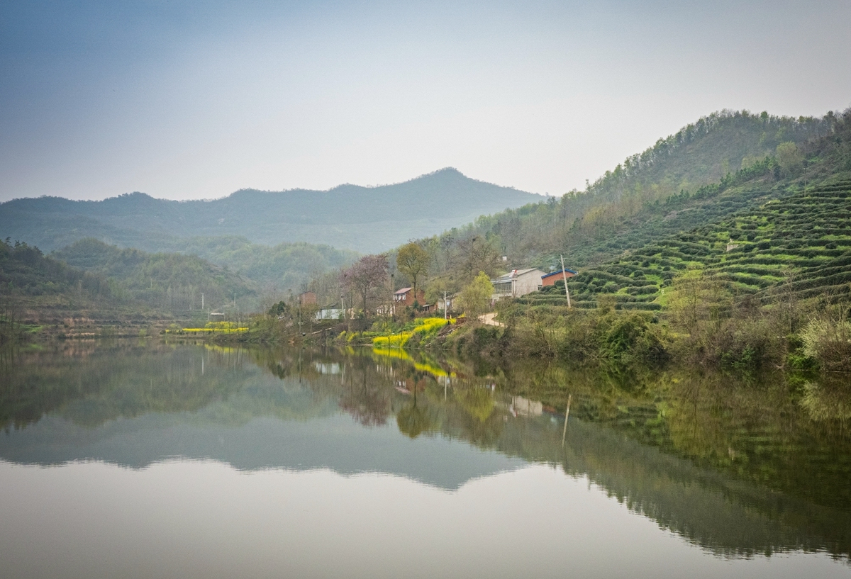 快来看！阳春三月的乡村美如画