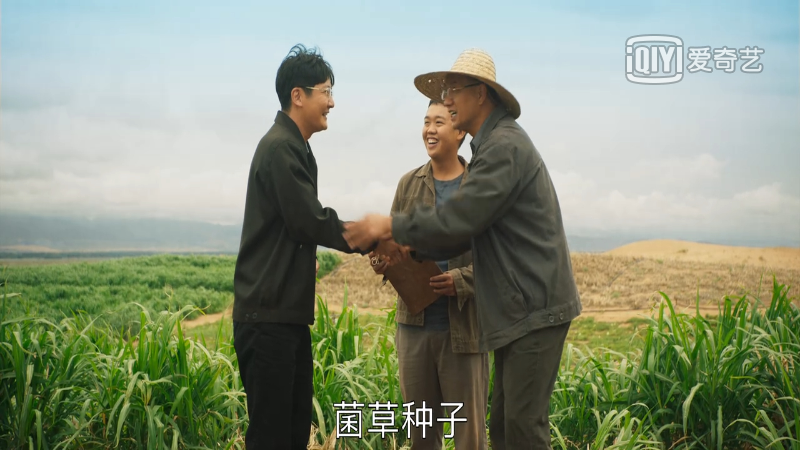 专家|山海情：菌草专家凌一农教授让人感动 角色原型真了不起