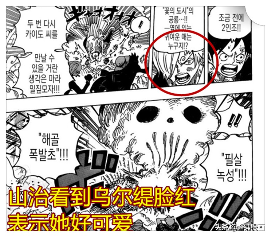 海贼王991话：山治看到乌尔缇就脸红，乌尔缇对战人选换乌索普
