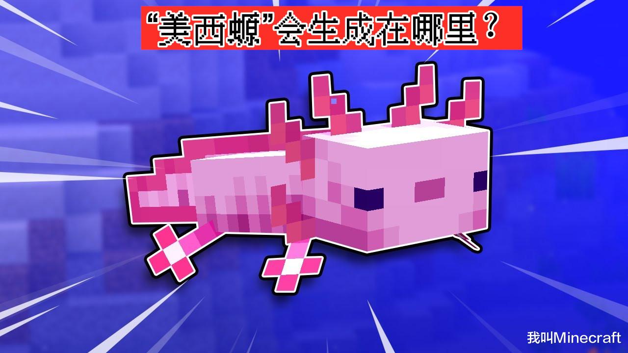 1 17新生物篇 Minecraft 蠑螈 山羊 發光魷魚有什麼巨大作用 我叫minecraft Mdeditor