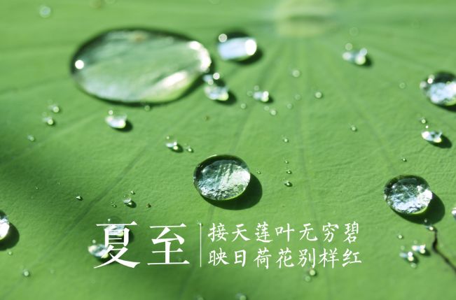 夏至就要到了 夏至是天晴好還是下雨好 聽聽老俗語怎麼説 星哥説農 Mdeditor