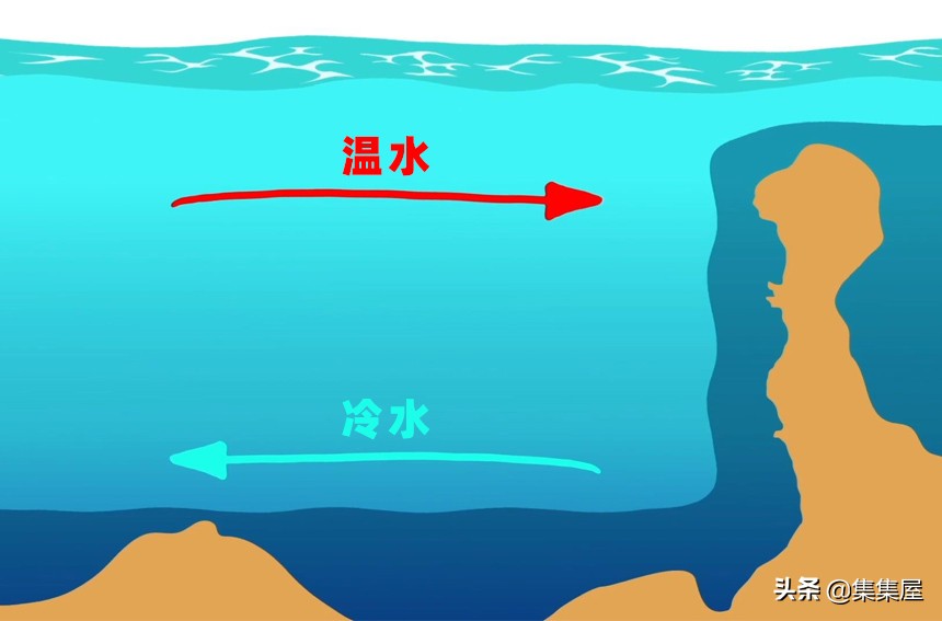 7个古怪趣闻-第2张图片-大千世界