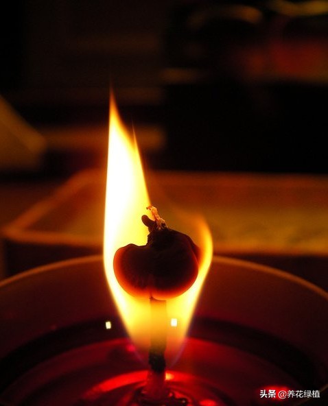 眼看|正月十三眼看就是元宵节 这一天有哪些传统习俗与灯密切相关