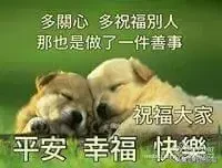 新的一天,一声问候。早安