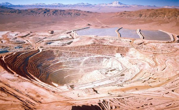 王文银开始第4次豪赌，前几次都大赚特赚，这一