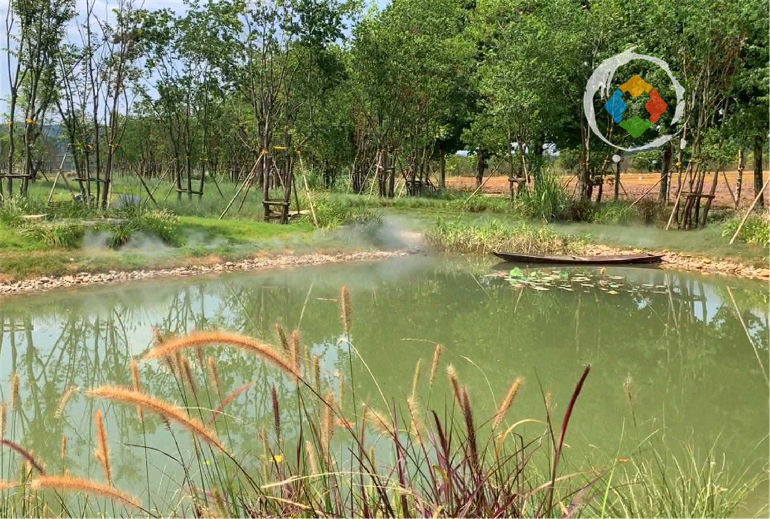 重庆广阳岛游玩攻略：一天逛完4大景点，美不胜收，拍照超好看
