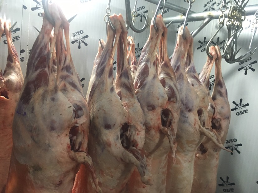圖片[4]-一斤鮮羊肉40元 為啥冰凍羊肉才20幾元呢？相差太大了-起舞食譜網