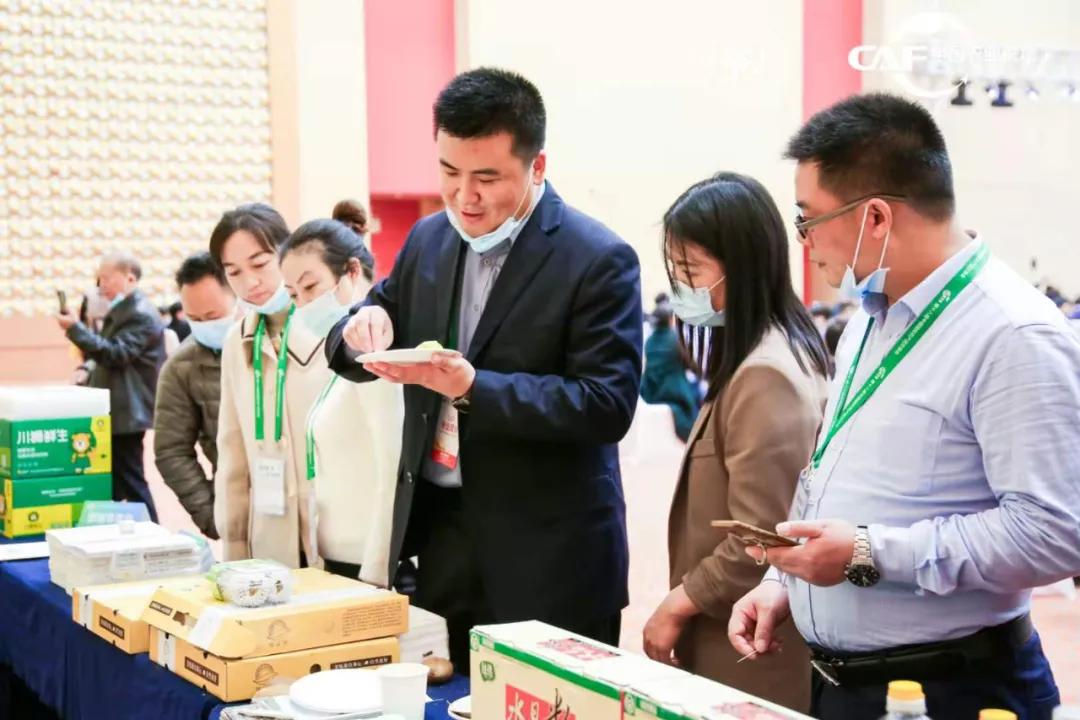 让定心绿茶走出国门，享誉世界